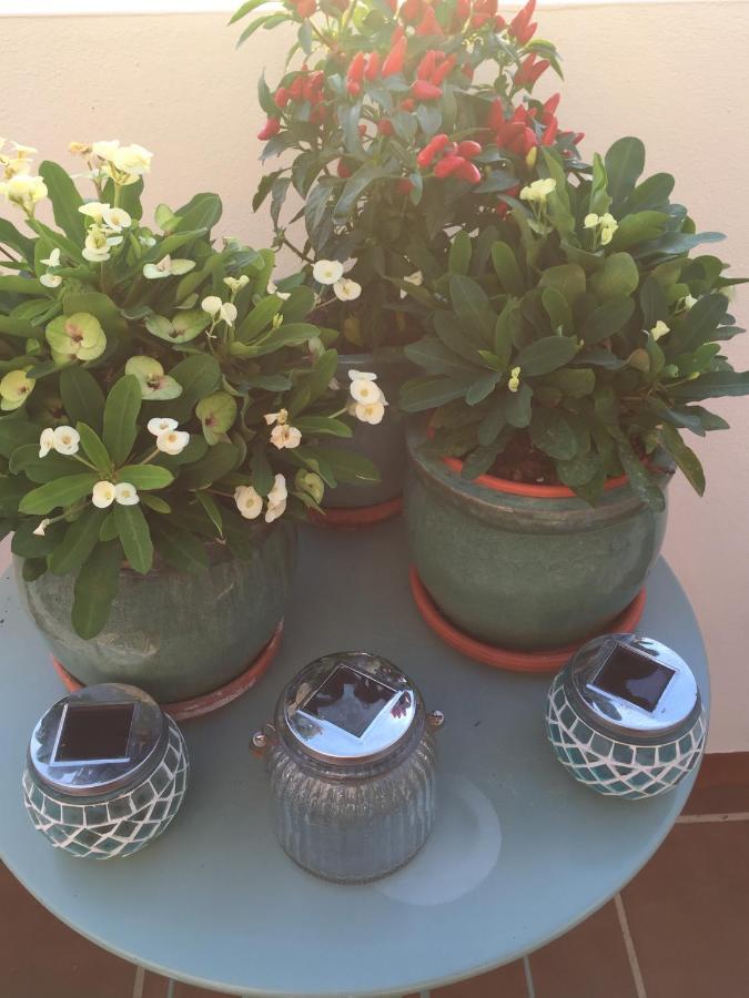 B&B Casa Louisa, Torre Del Mar- Valleniza Velez-Malaga Bagian luar foto